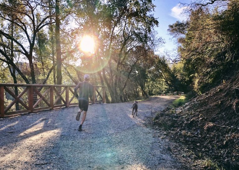 runner and dog running on a trail