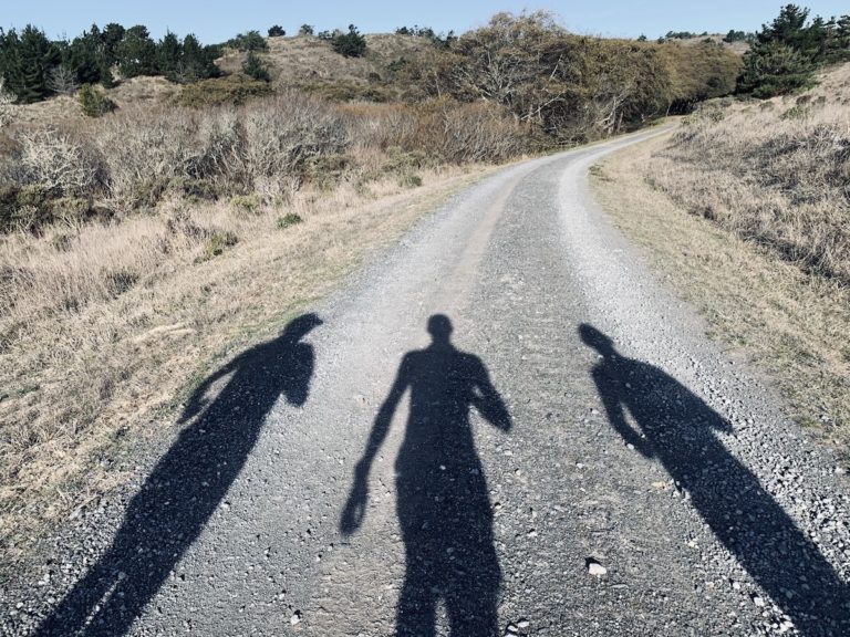 Satisfied with the Shadows